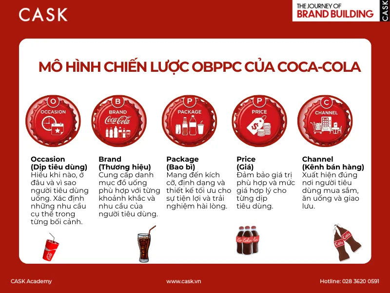 Hinh-minh-hoa