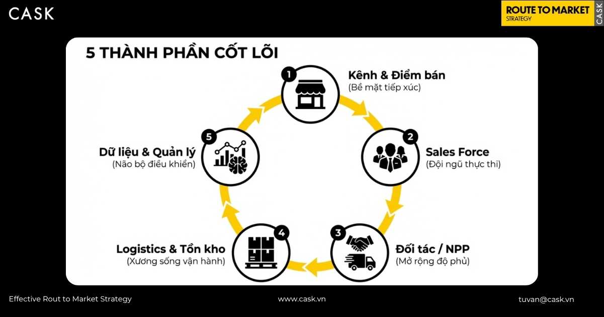 5 thành phần tạo hệ thống phân phối Route To Market
