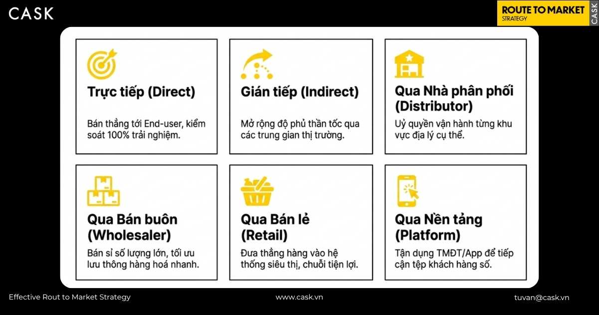 mô hình phân phối phổ biến