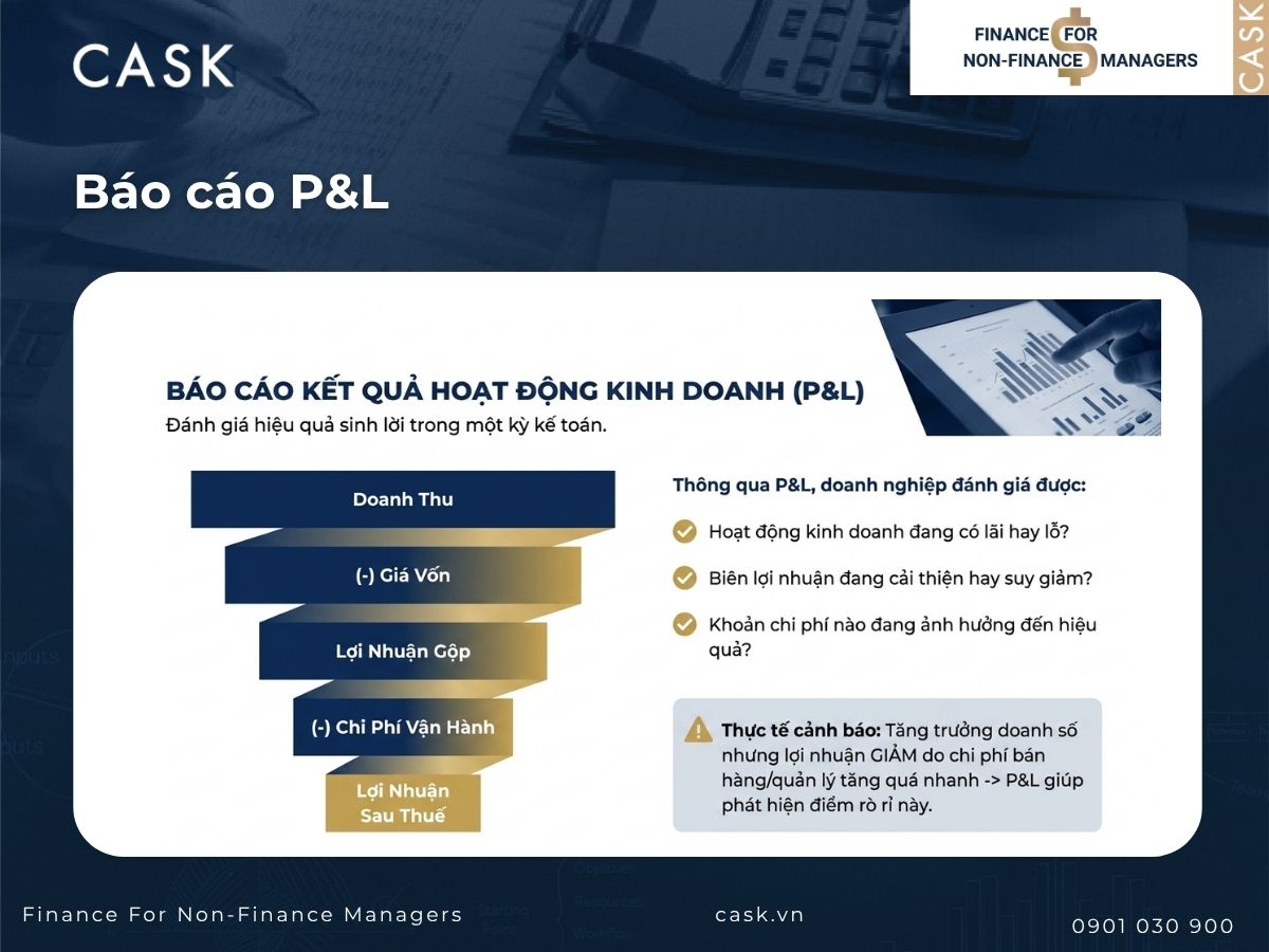 báo cáo p&l