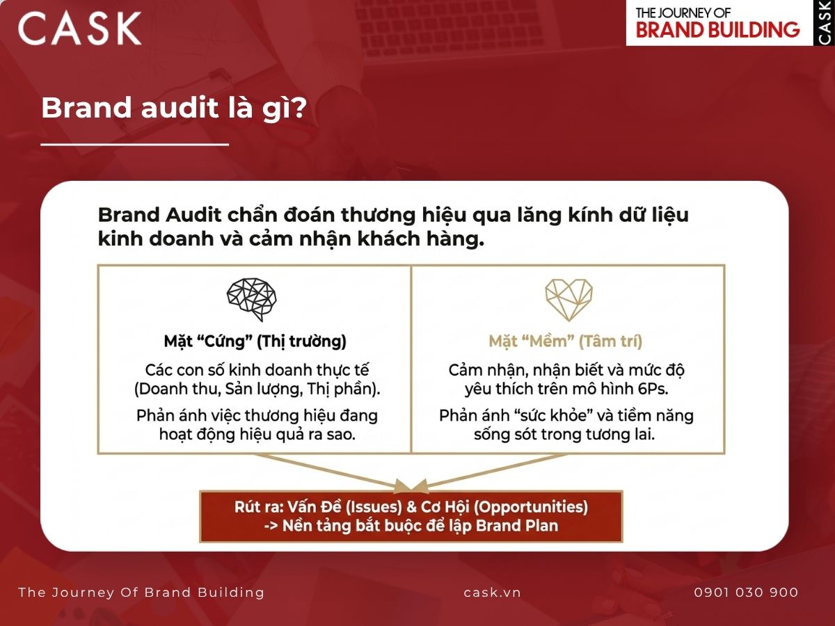 brand audit là gì