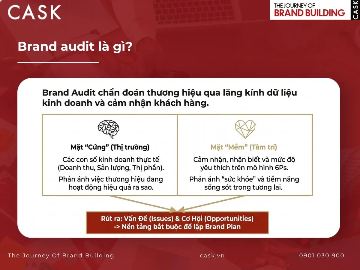 brand audit là gì