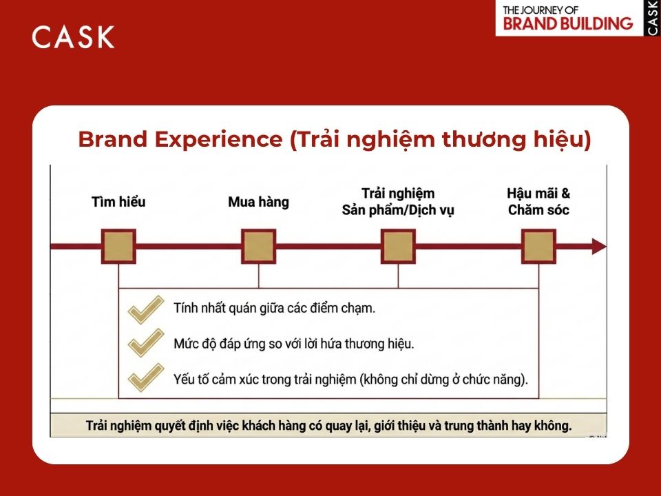 brand experience, trải nghiệm thương hiệu