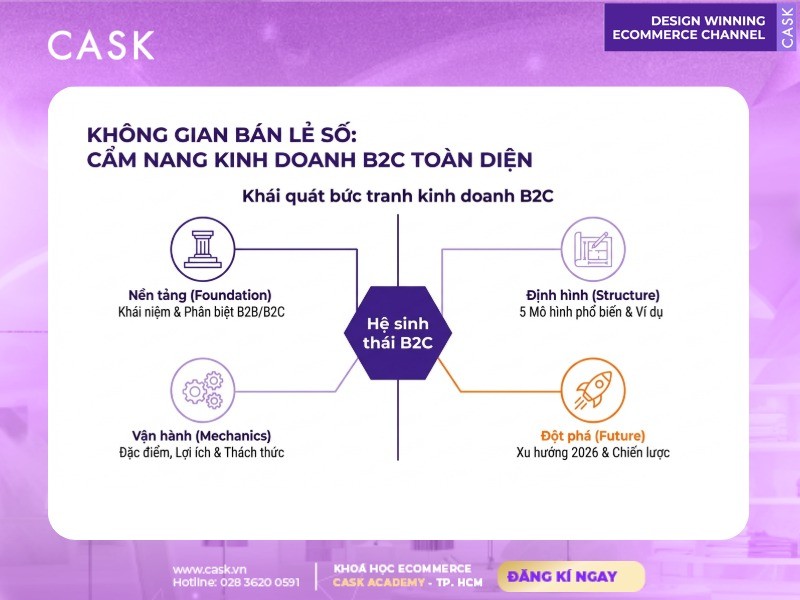 tổng quan bức tranh kinh doanh b2c