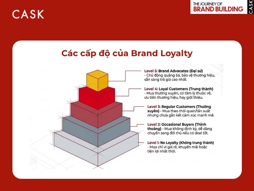 Các cấp độ của Brand Loyalty