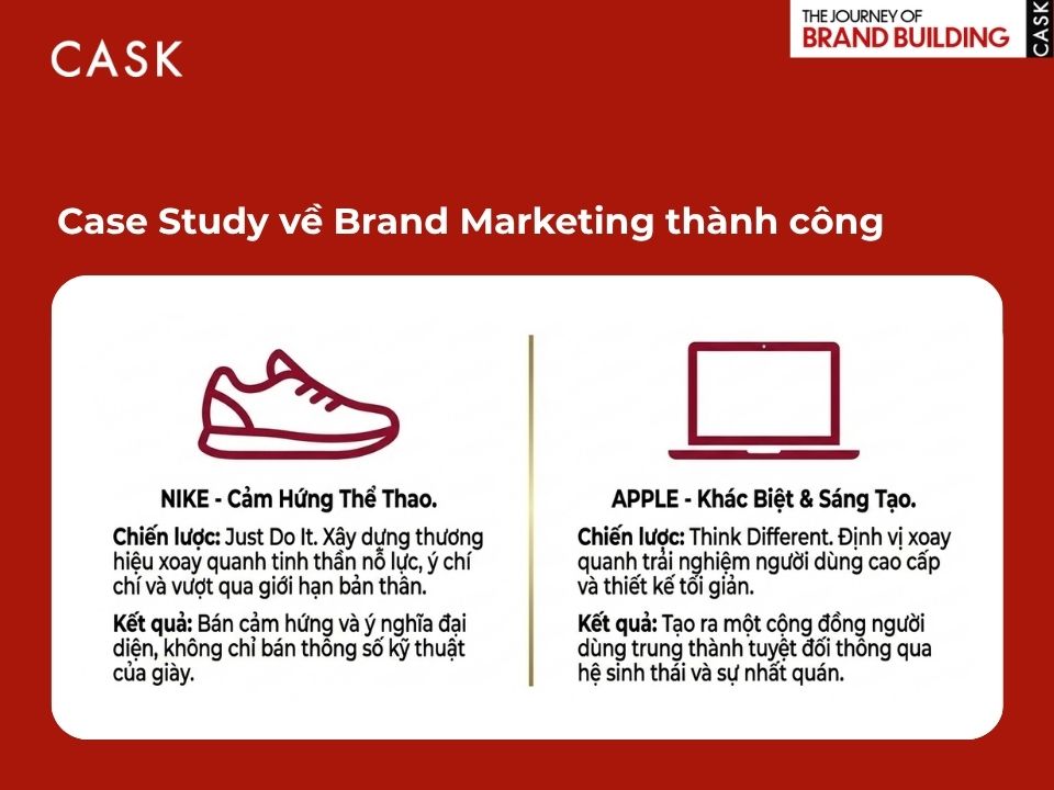 Case study Brand Marketing thành công