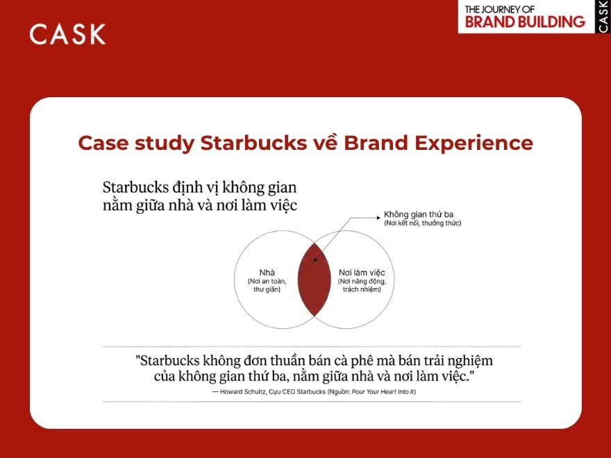 Case study về trải nghiệm thương hiệu