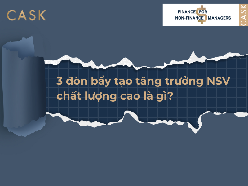 3-don-bay-tao-tang-truong-NSV