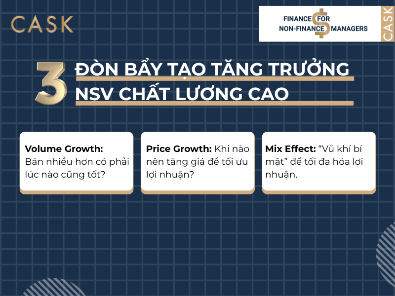 3-don-bay-tao-tang-truong-NSV