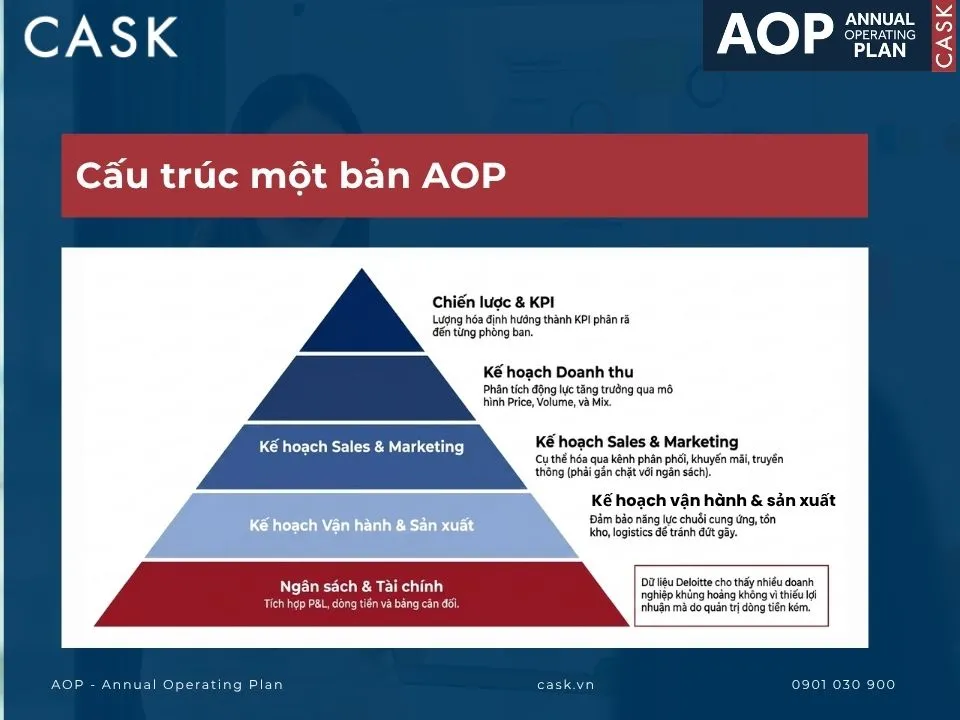 cấu trúc một bản aop