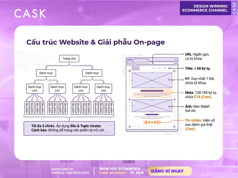 cấu trúc website và giải phẫu on-page