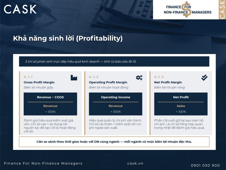 chỉ số đo khả năng sinh lời profitability