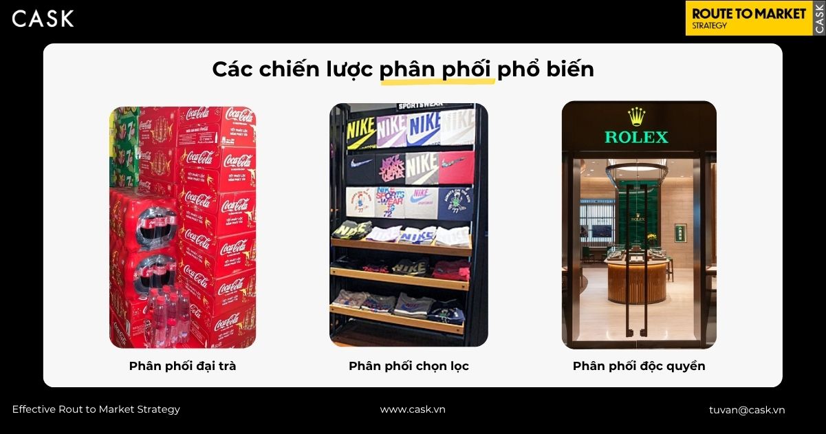 So sánh 3 chiến lược phân phối phổ biến: Đại trà, Chọn lọc và Độc quyền qua ví dụ thực tế