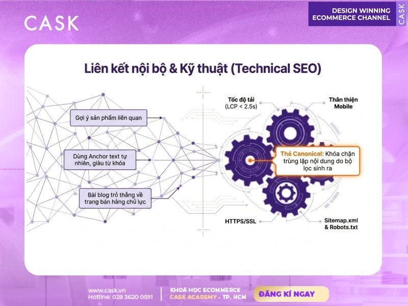 liên kết nội bộ và technical seo