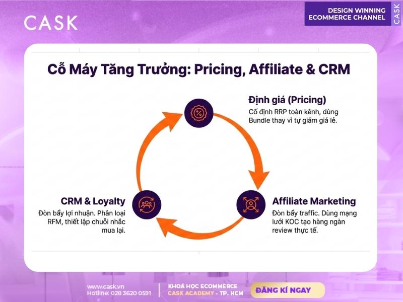 cỗ máy tăng trưởng doanh thu d2c