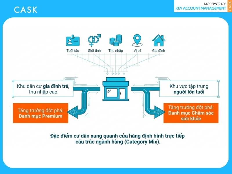 demographic-based driver - động lực tăng trưởng dựa trên nhân khẩu học