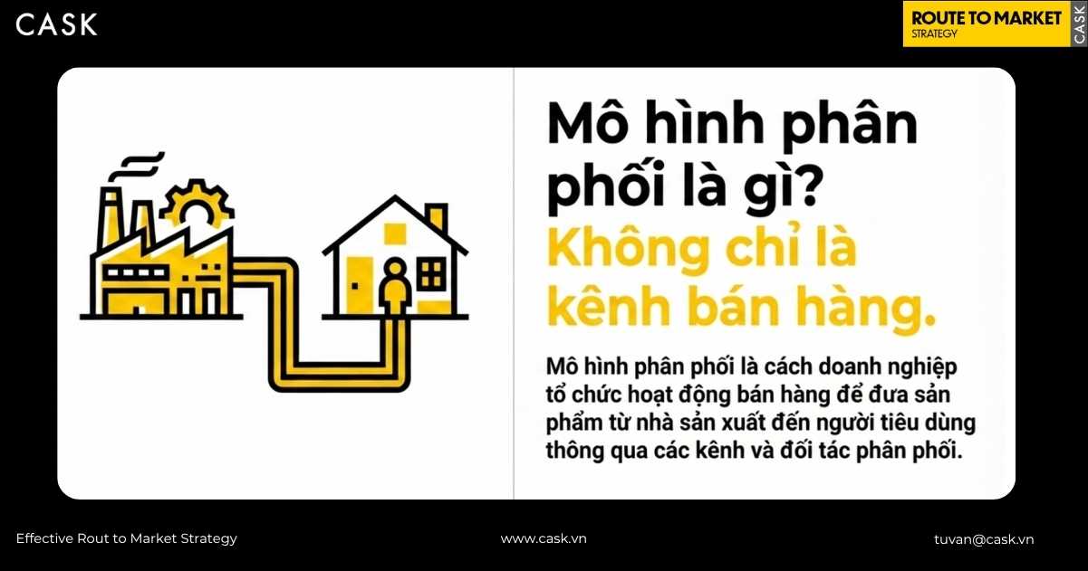định nghĩa mô hình phân phối
