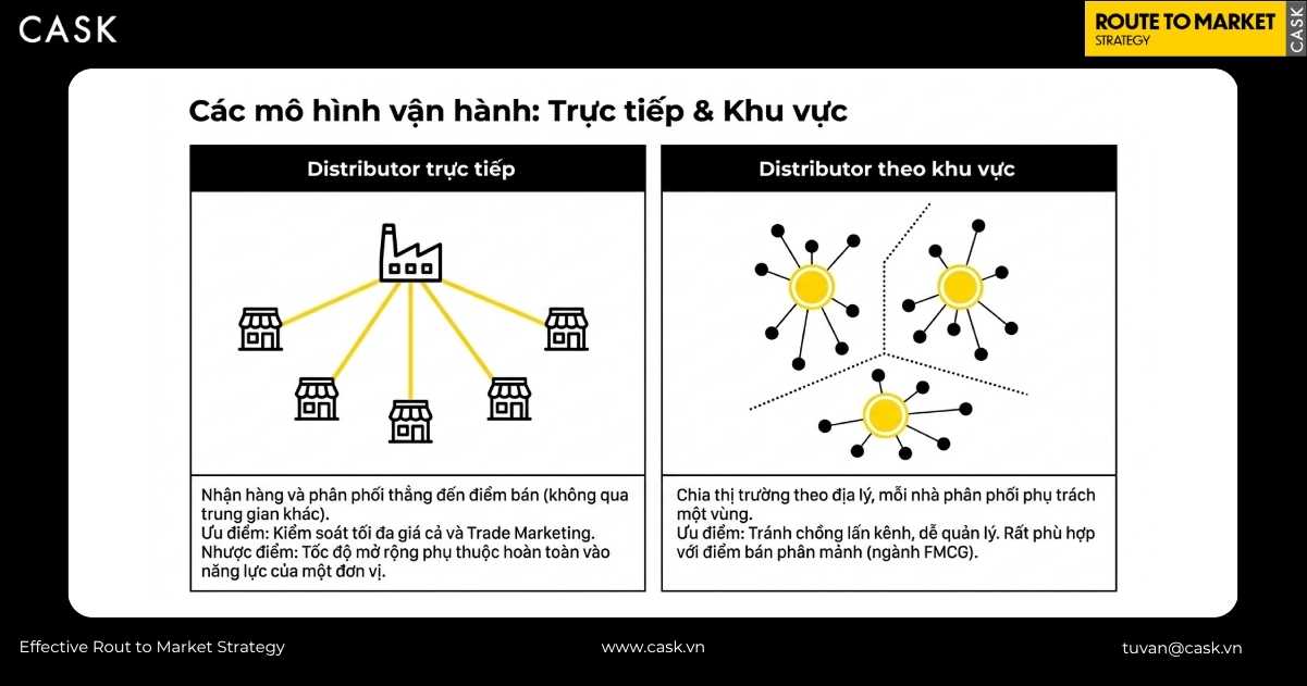 hai mô hình distributor trực tiếp và theo khu vực với ưu nhược điểm cụ thể