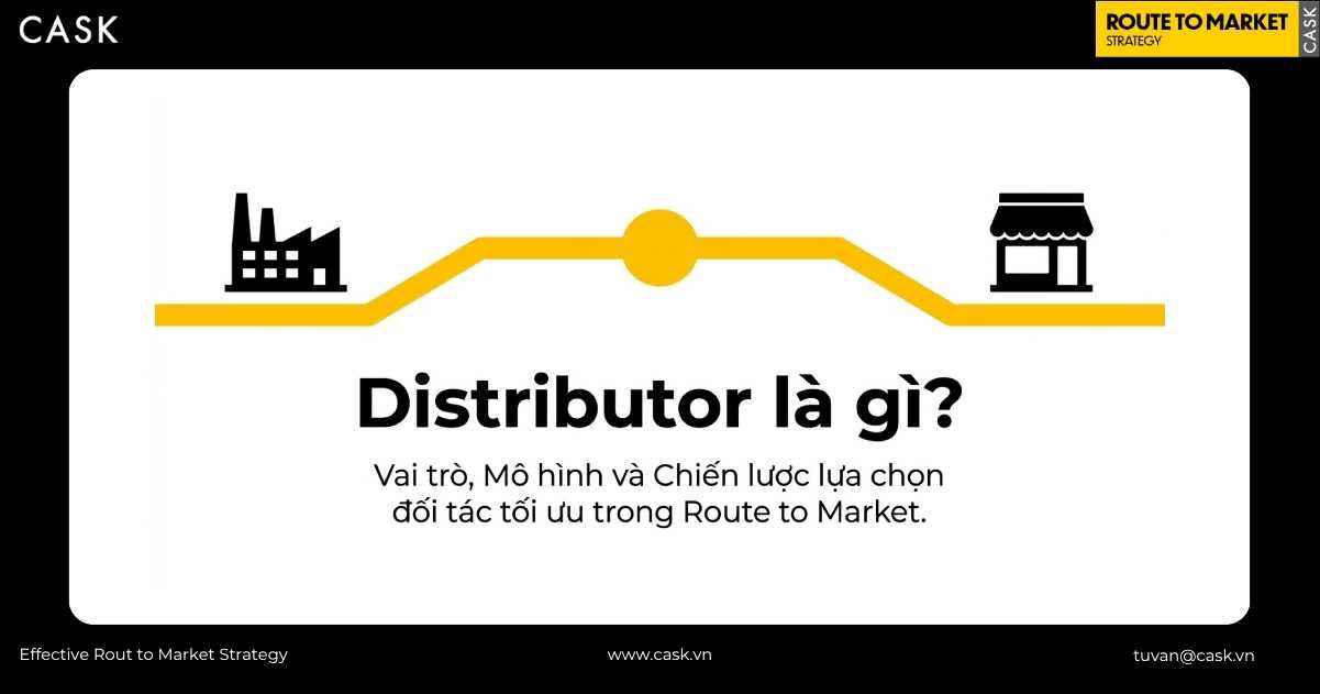 tổng quan vai trò, mô hình và chiến lược lựa chọn đối tác distributor trong Route To Market