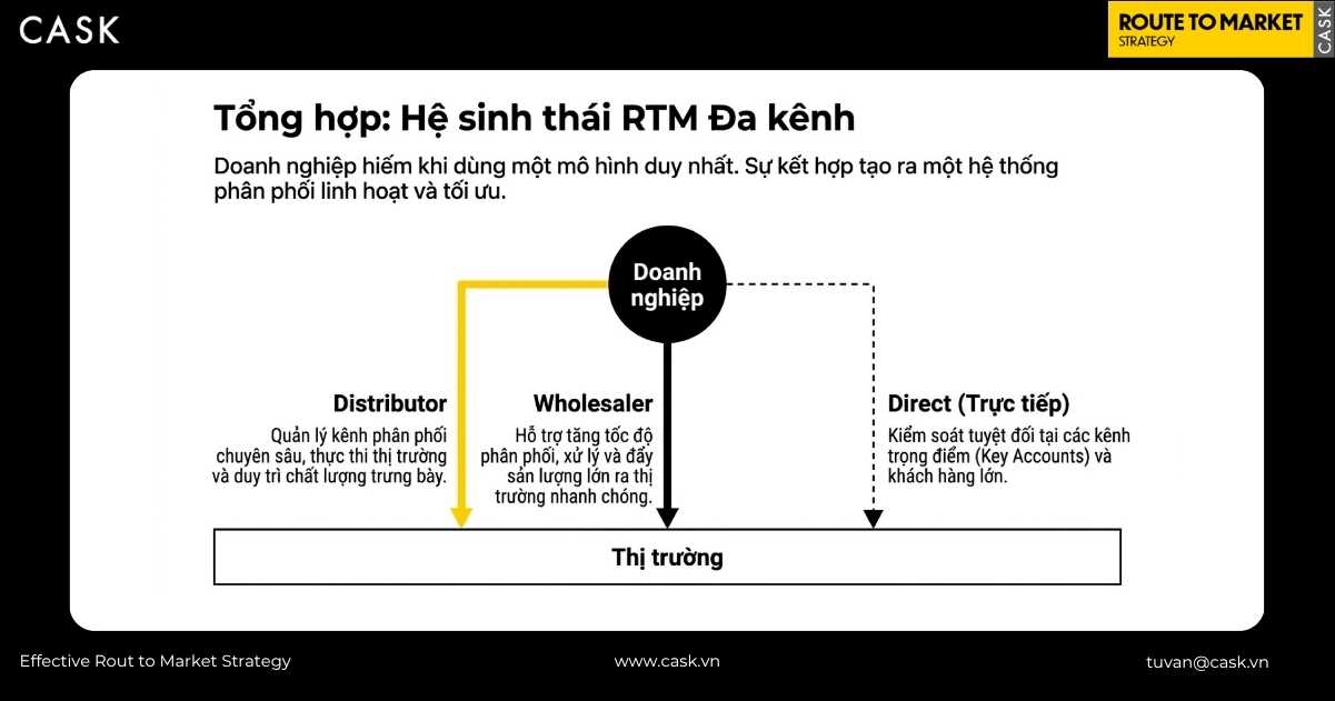 hệ sinh thái RTM đa kênh kết hợp distributor, wholesaler và direct của doanh nghiệp