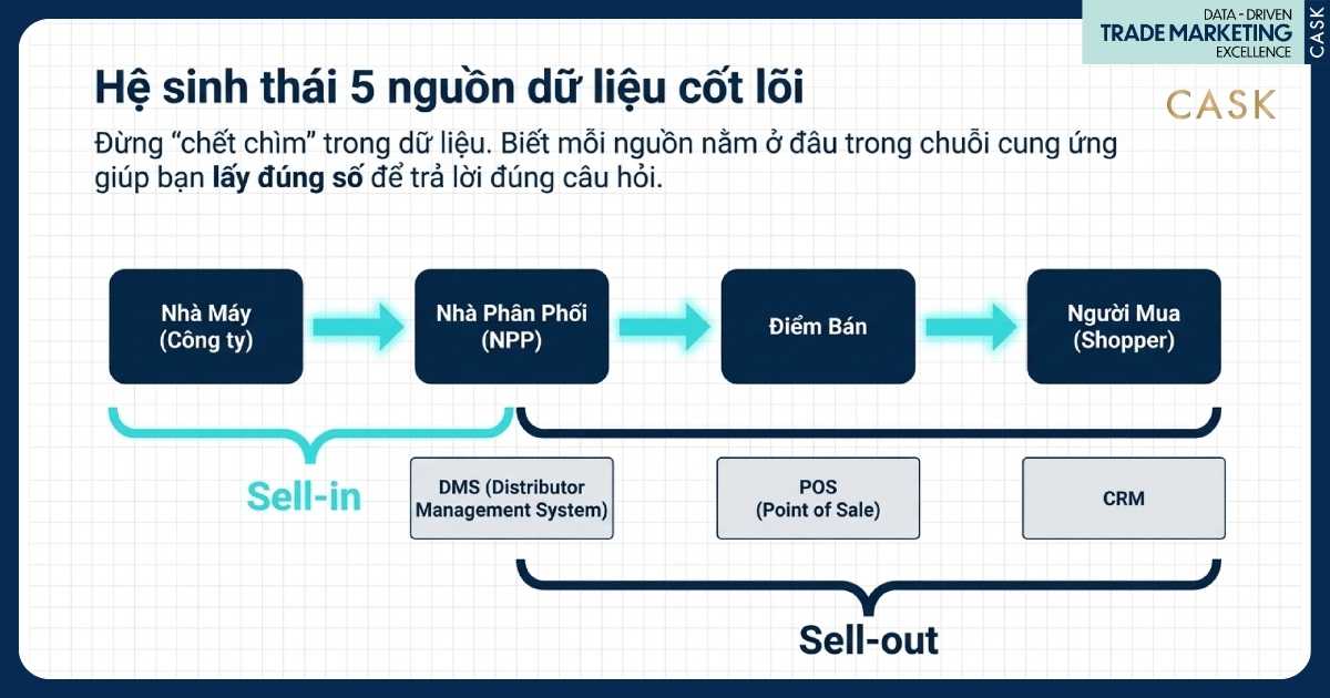 5 nguồn dữ liệu cốt lõi