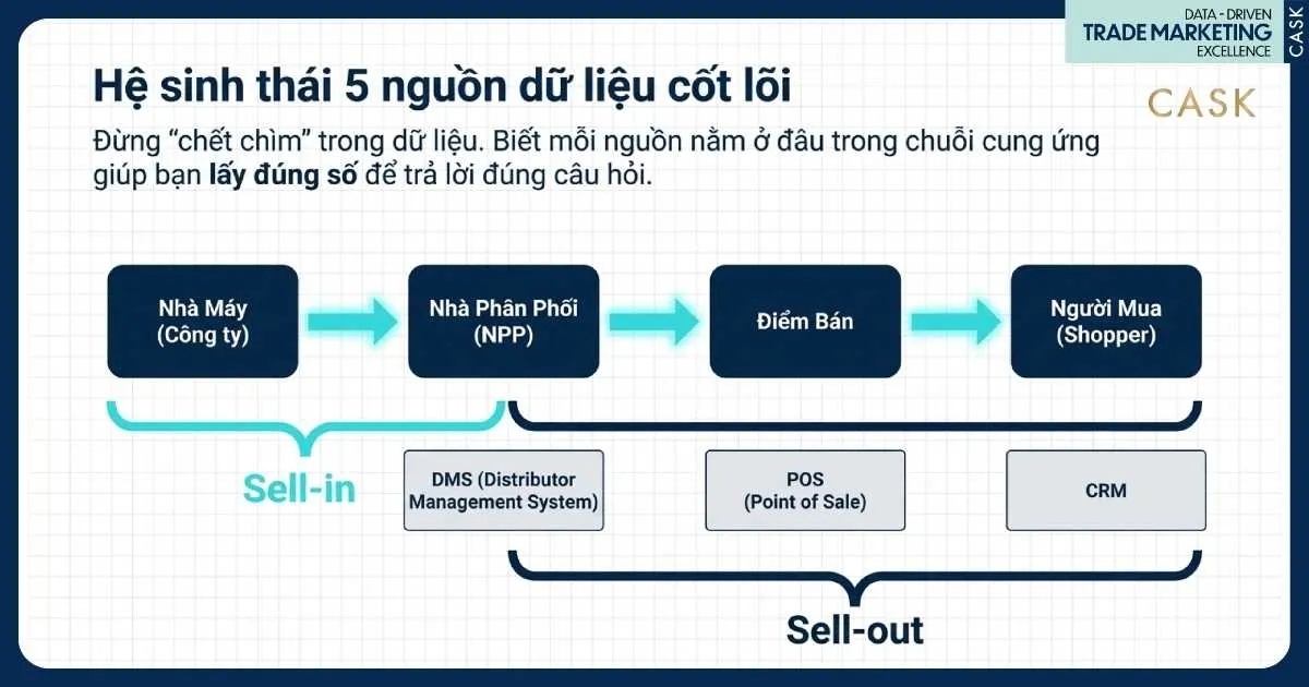 5 nguồn dữ liệu cốt lõi
