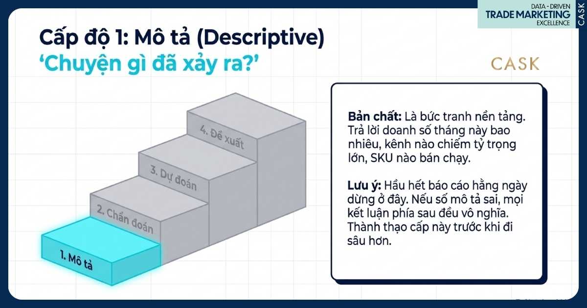 cấp độ 1 mô tả