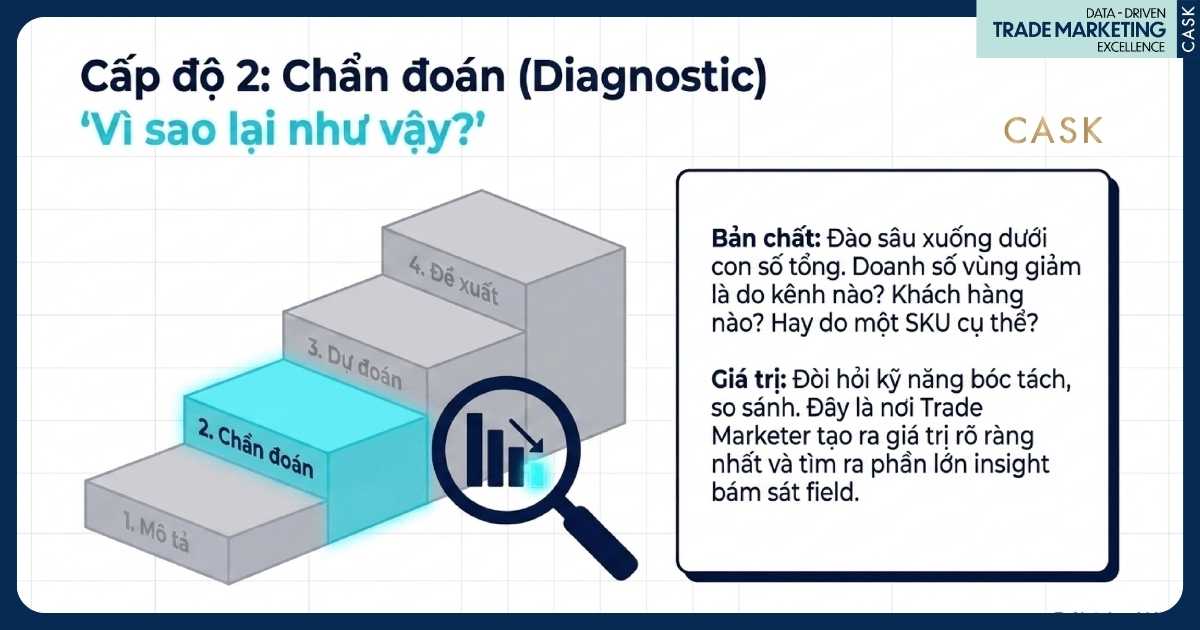 cấp độ 2 chẩn đoán