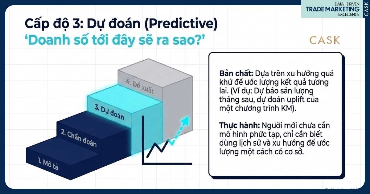 cấp độ 3 dự đoán