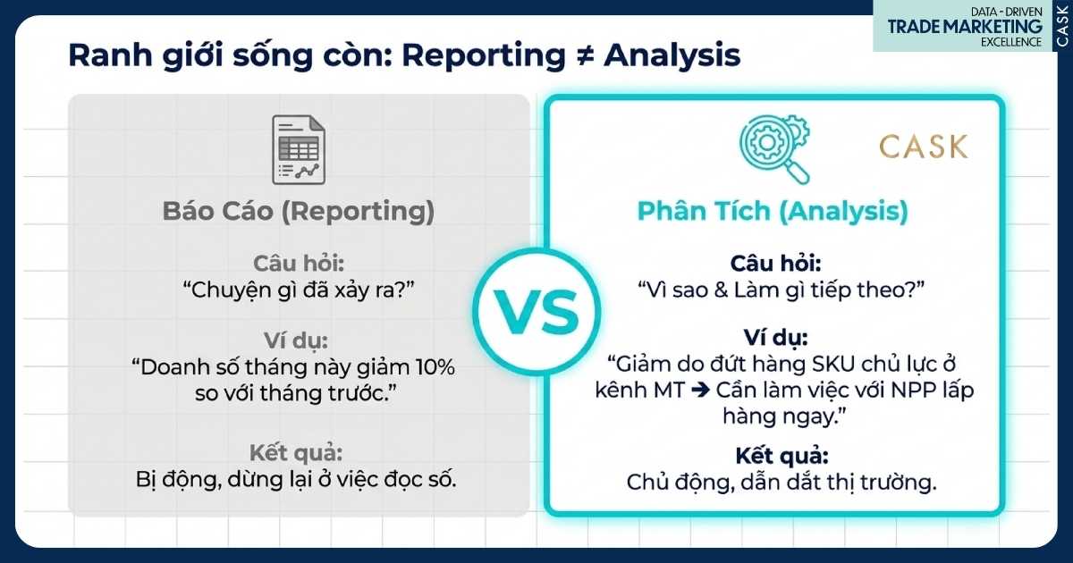 reporting khác analysis