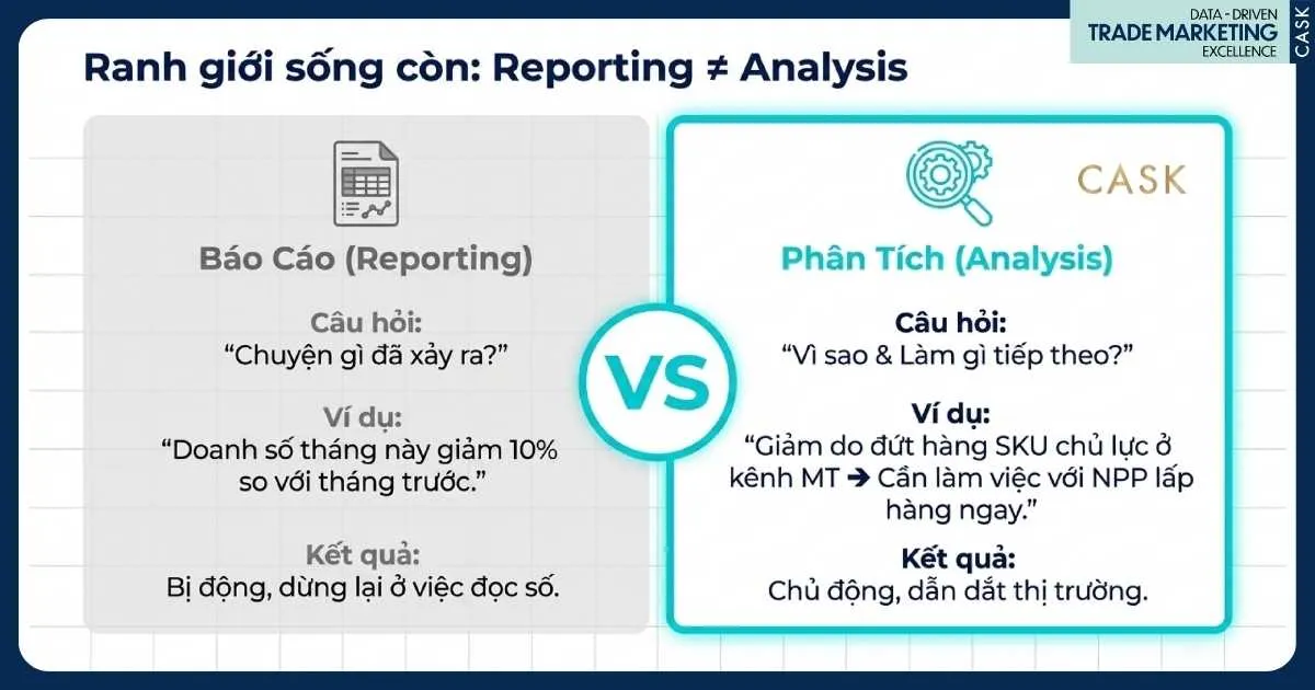 reporting khác analysis