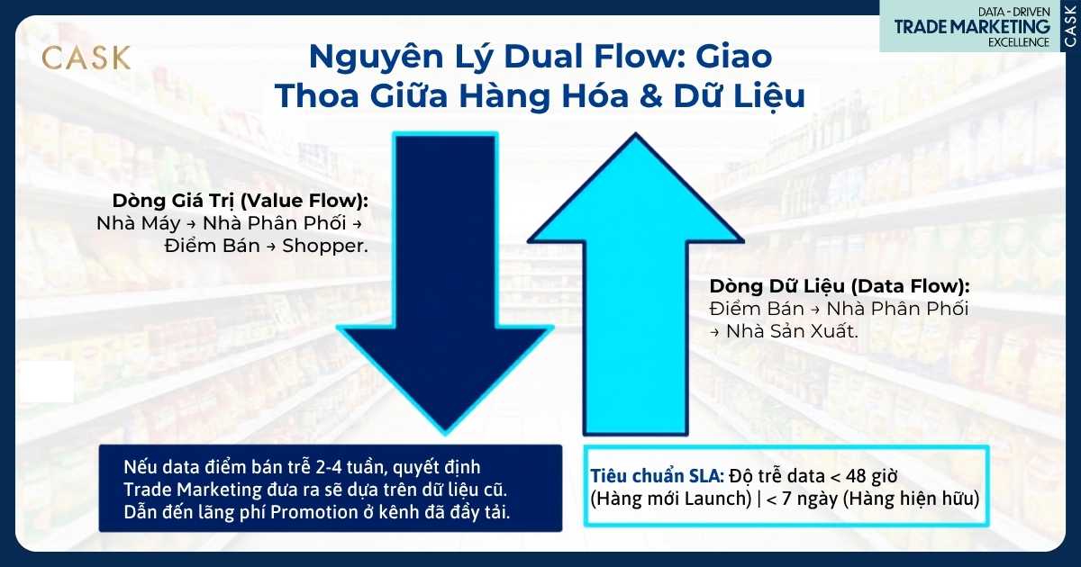 sơ đồ dual flow với dòng giá trị