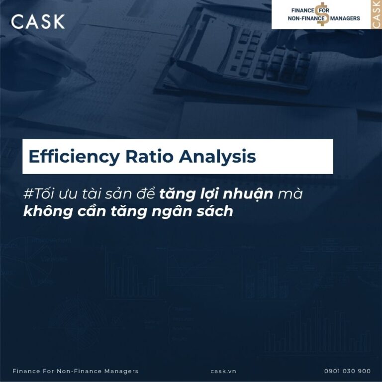 efficiency ratio analysis