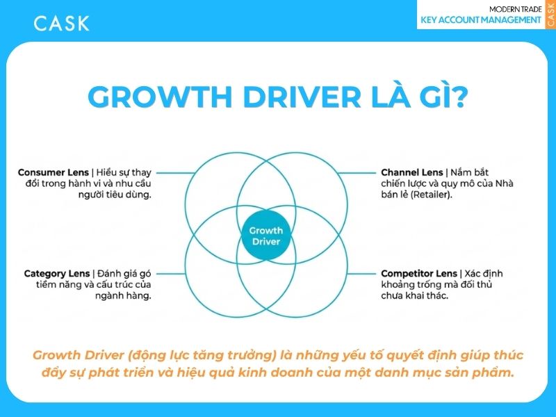 growth driver là gì