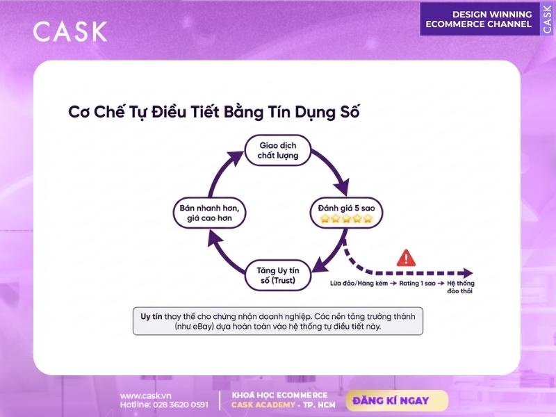 hành trình tiến hóa nền kinh tế c2c