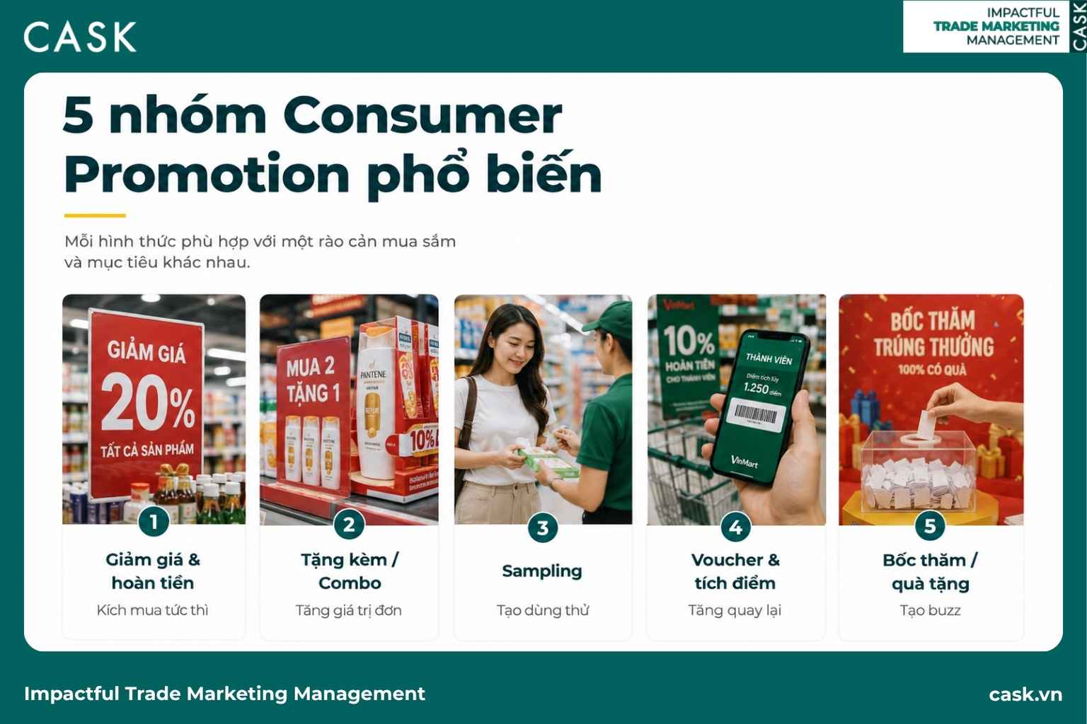 nhóm Consumer Promotio