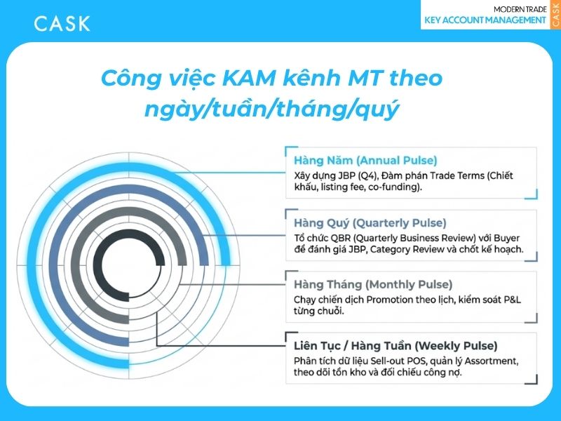 Infographic tóm tắt công việc KAM kênh MT theo ngày/tuần/tháng/quý