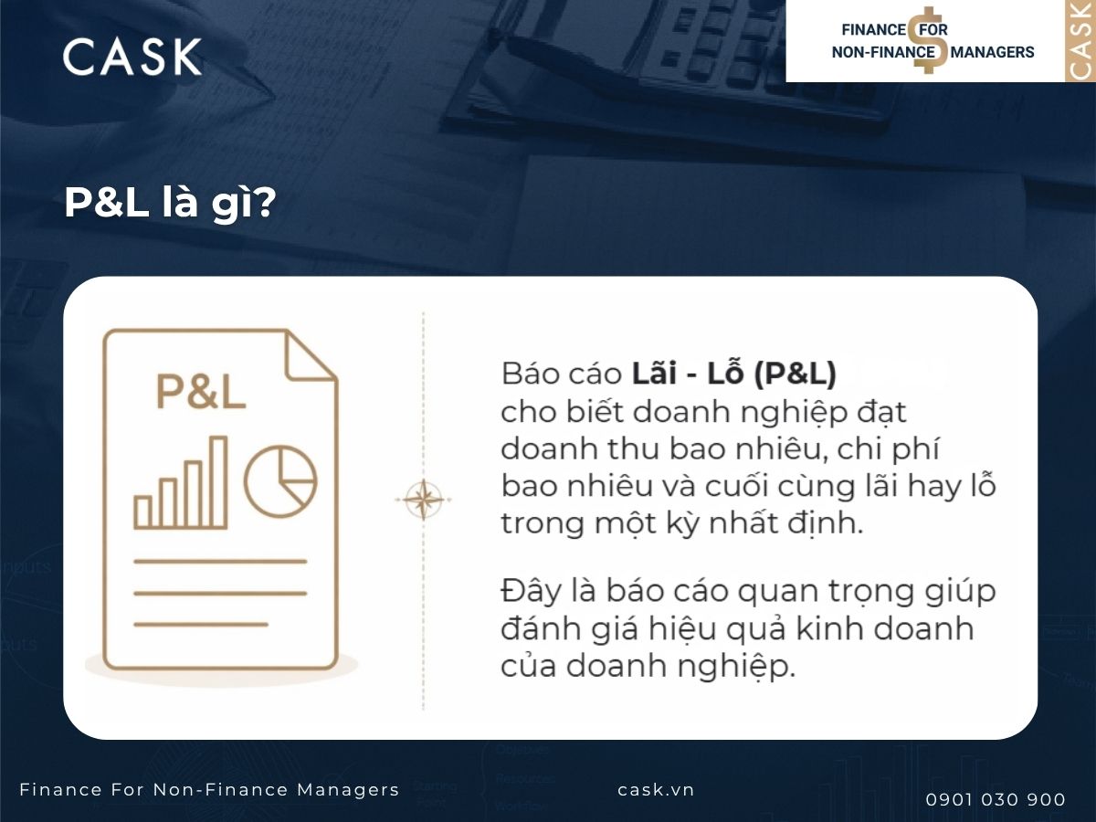 khái niệm p&l