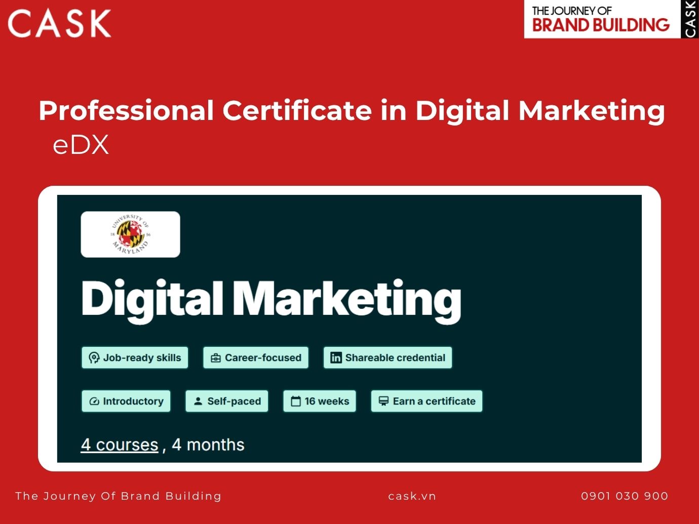 khóa học professional certificate in digital marketing của edx