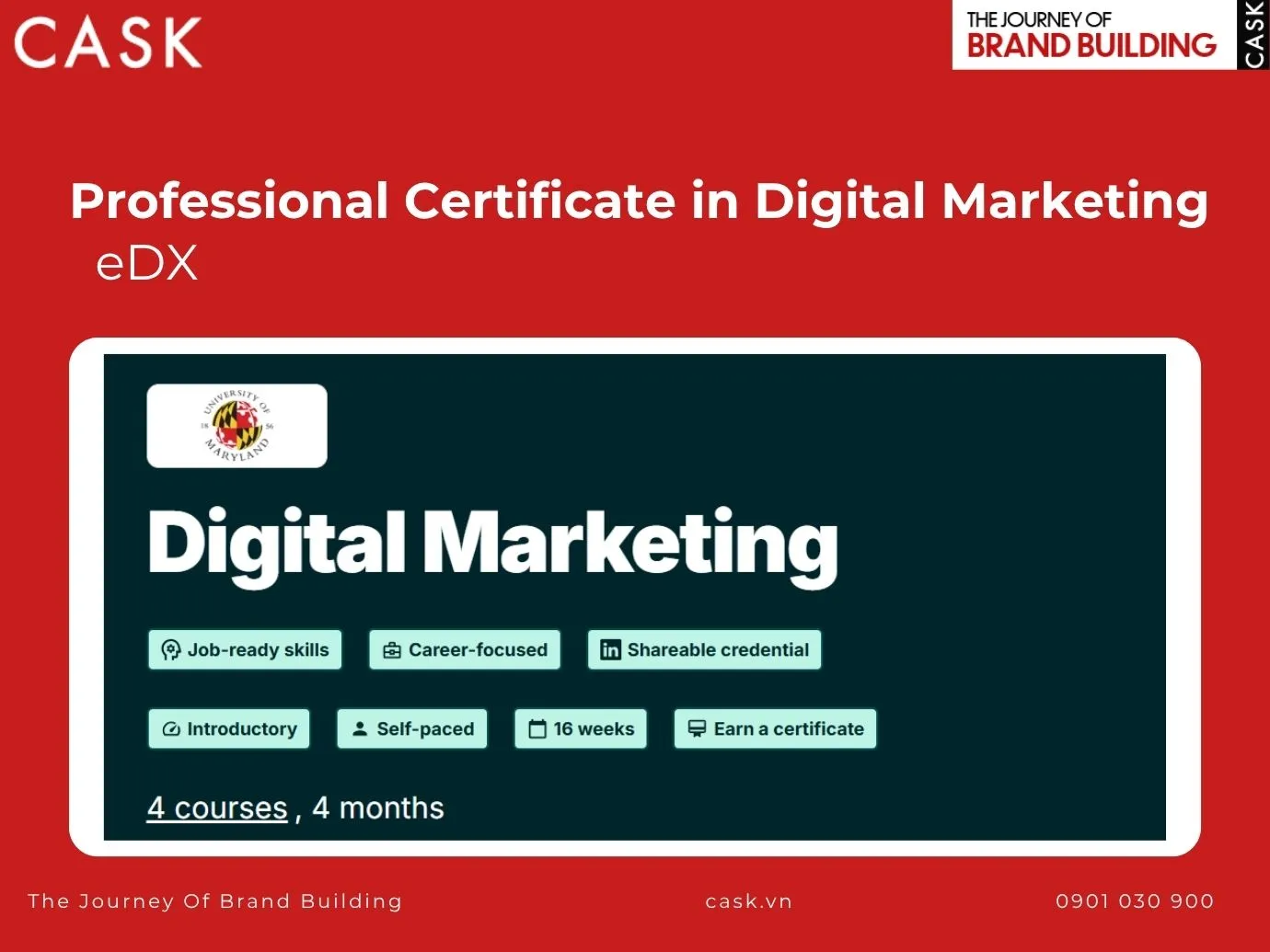 khóa học professional certificate in digital marketing của edx