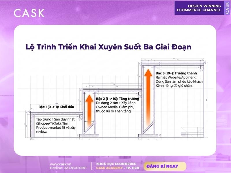 lộ trình triển khai chiến lược d2c