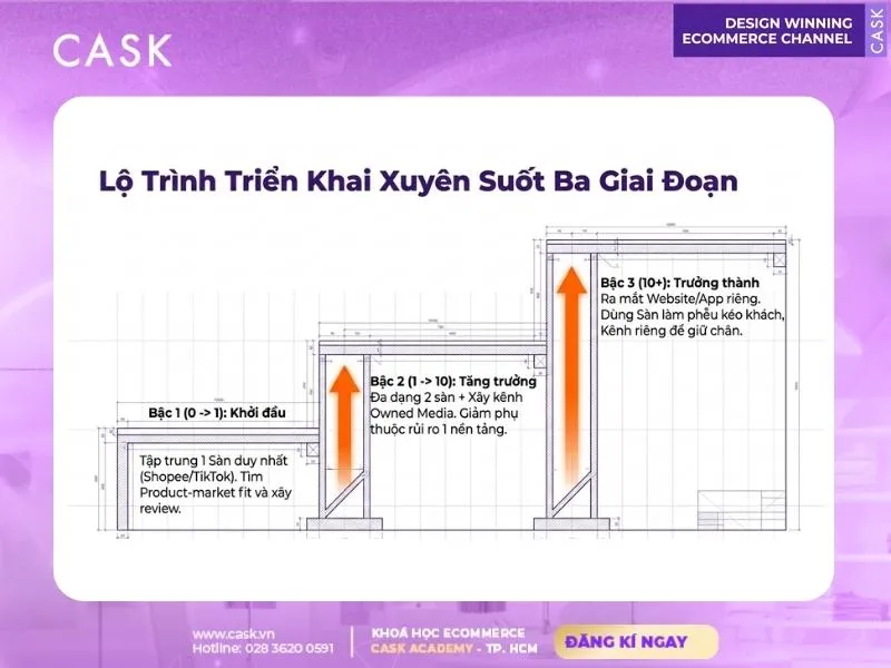 lộ trình triển khai chiến lược d2c