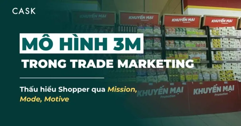 bìa bài viết mô hình 3M