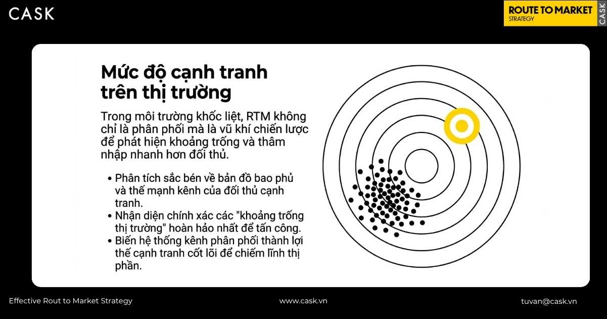 Phân tích mức độ cạnh tranh và cách phát hiện khoảng trống thị trường bằng chiến lược RTM