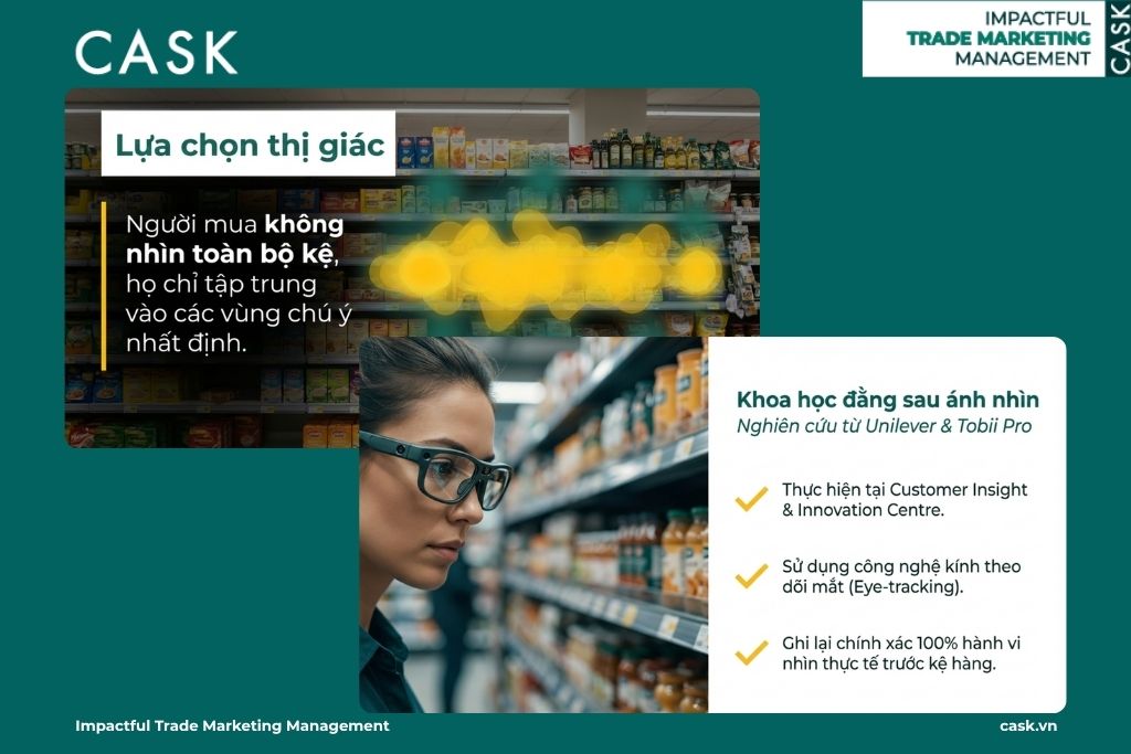 nghiên cứu eye-tracking tại Unilever & Tobii Pro