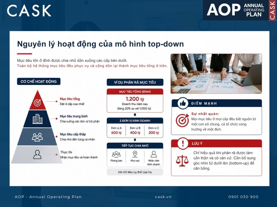 nguyên lý hoạt động của mô hình top-down
