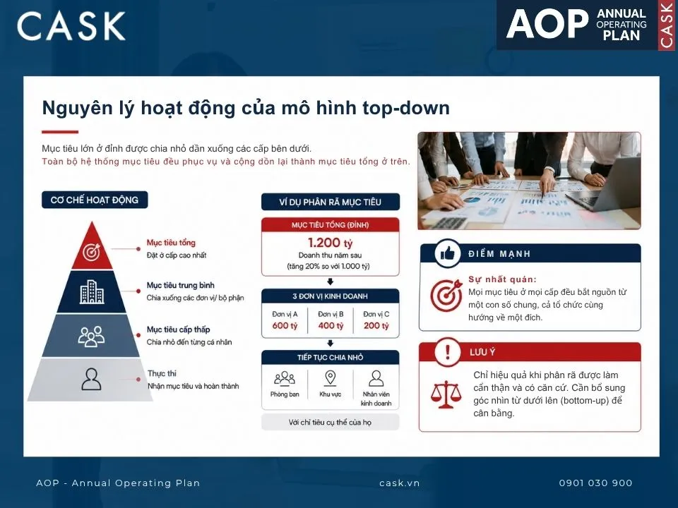 nguyên lý hoạt động của mô hình top-down