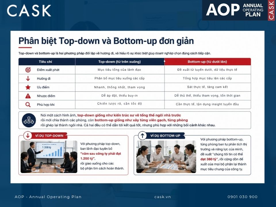 phân biệt top-down và bottom-up