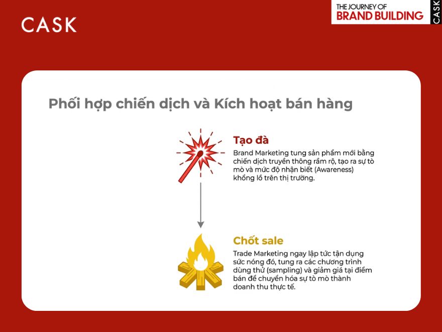 Phối hợp truyền thông thương hiệu và hoạt động khuyến mãi