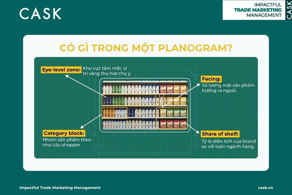 thành phần chính của planogram